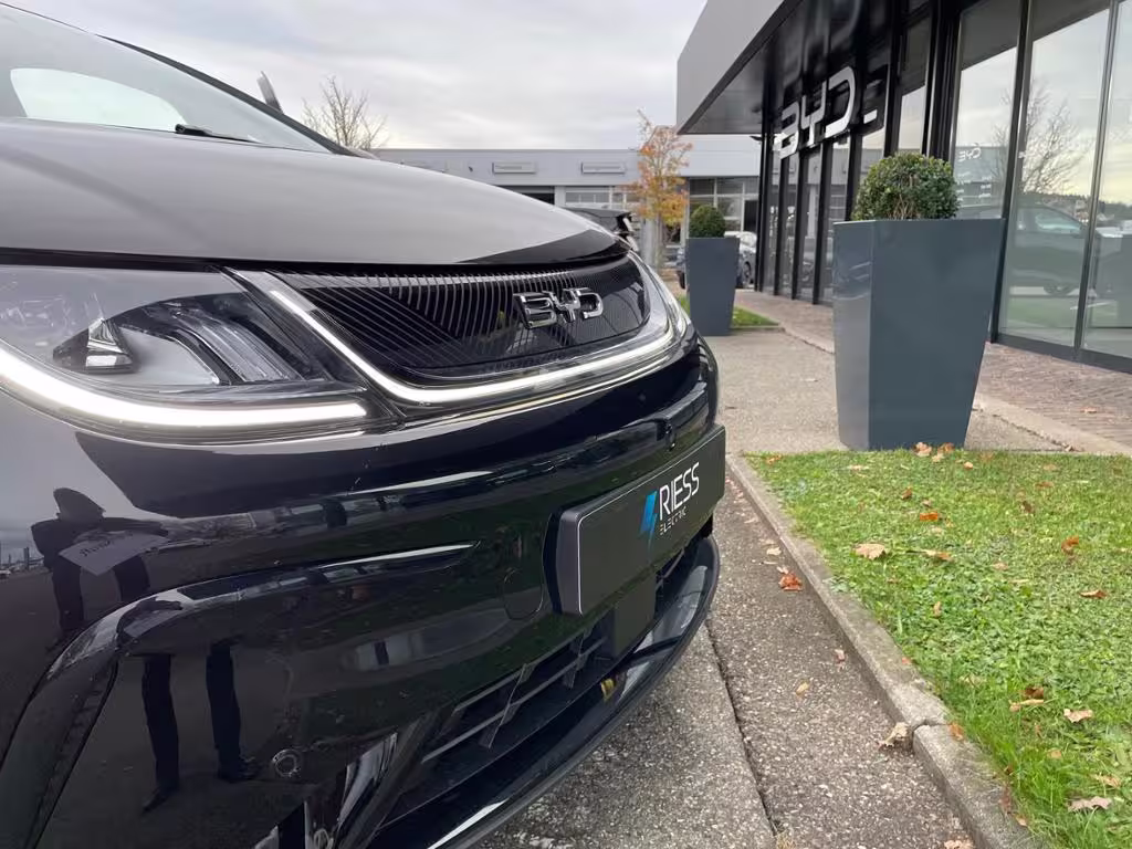 BYD Dolphin Design DMS AUT LM SpurH DOLPHIN - Bild 12