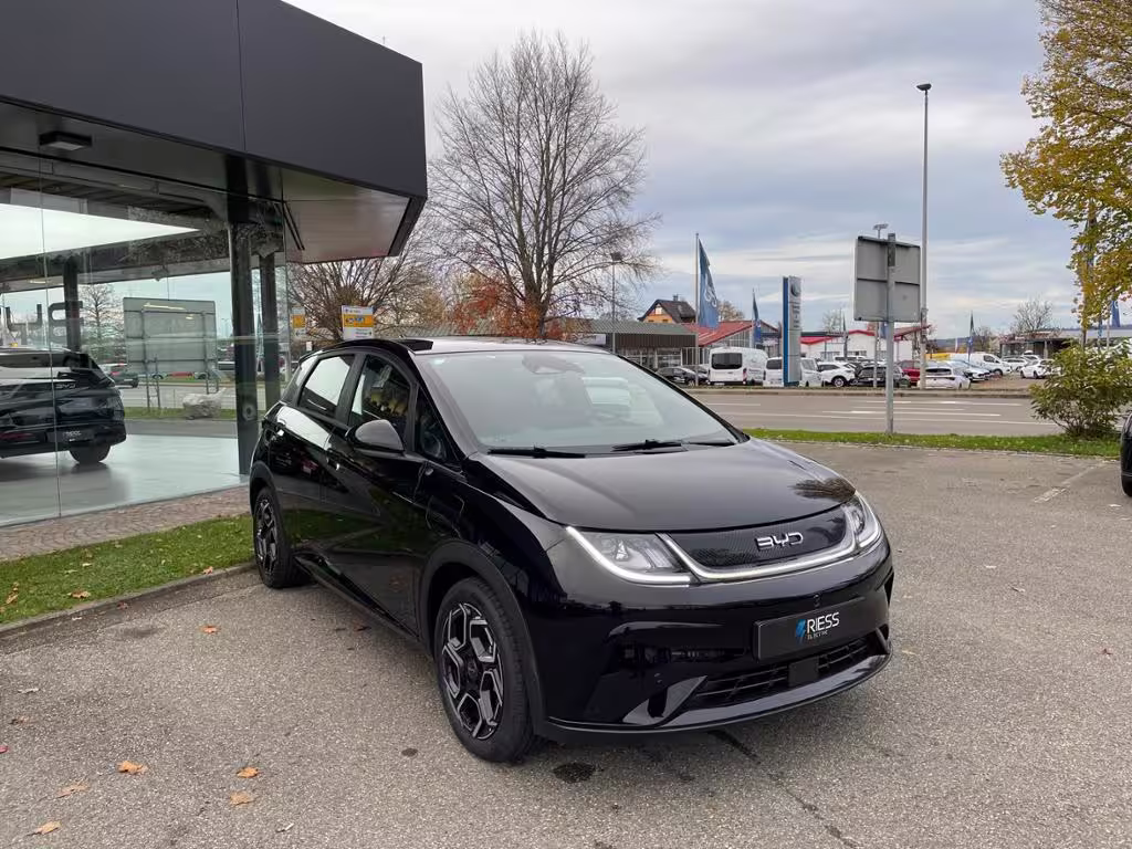 BYD Dolphin Design DMS AUT LM SpurH DOLPHIN - Bild 3