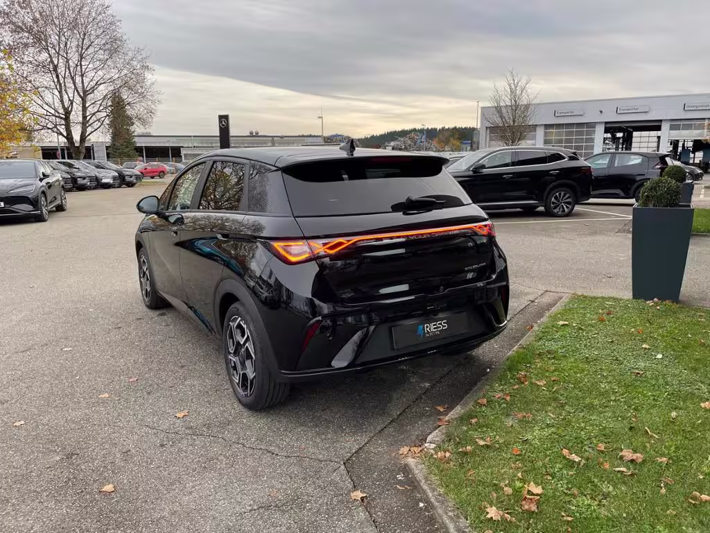 BYD Dolphin Design DMS AUT LM SpurH DOLPHIN - Bild 5
