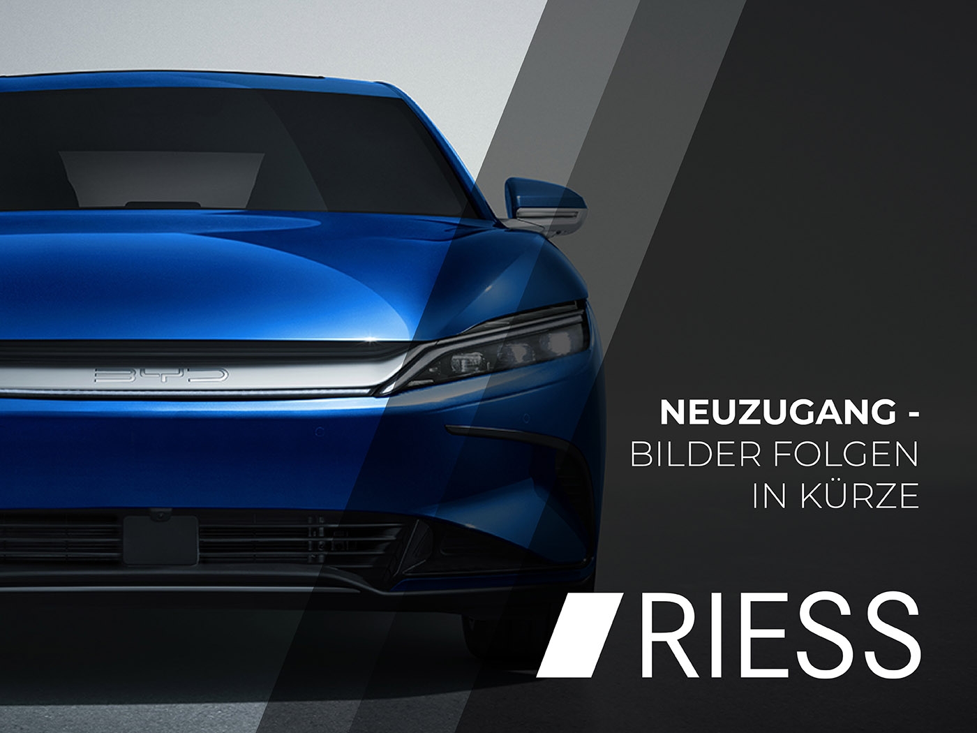 BYD ATTO 3 Comfort Nur für Gewerbetreibende